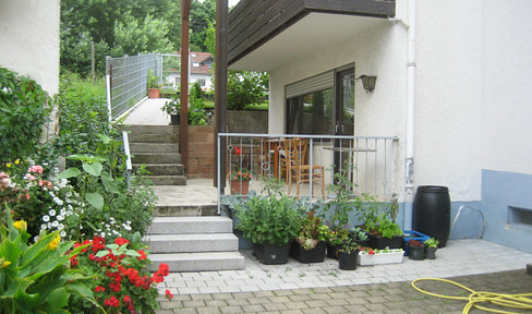 1 room with terrace Niederschopfheim