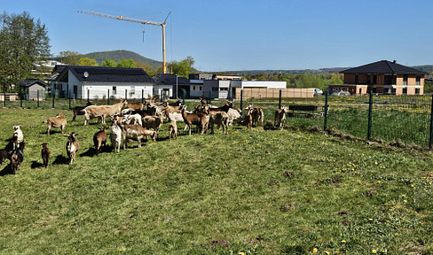 Building plots available in the new development area "Offenbergblick"! No commission fees! No obligation to build!