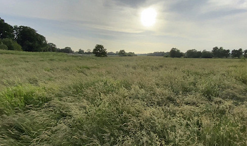 Zum Abmähen oder Verpachten: 1,4 ha Weide/Koppel/Wiese für Schafe, Ziegen, Rinder, Kleintiere,Hühner