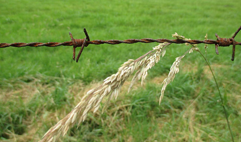Baugrundstück in Aldenhoven-Dürboslar in Randlage für DH oder EFH