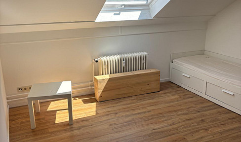Modernized apartment with furniture & elevator in MA city center
