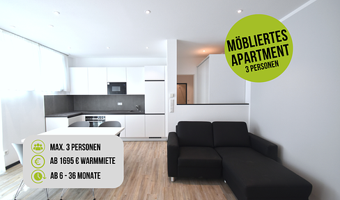 Möblierte 3 Zimmer Wohnung, Terrasse, ab sofort, zentrale Innenstadtlage Offenbach