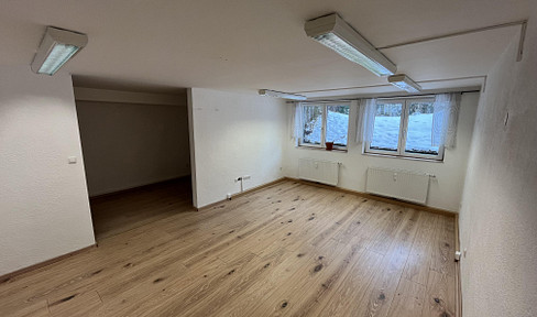 Büro im Grünen