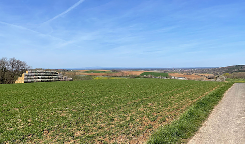 Ackerland, Grünland, Waldfläche in Groß-Umstadt / Wiebelsbach