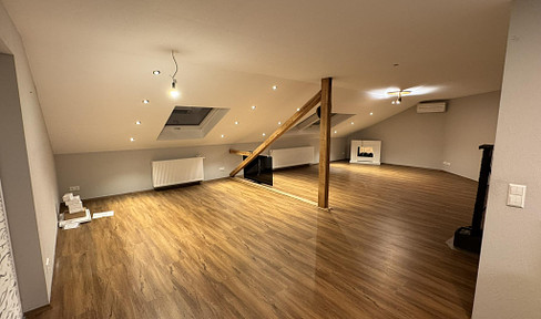 Air-conditioned 3-room attic apartment