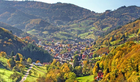 Bauplatz in sonniger Lage von Ottenhöfen im Schwarzwald!