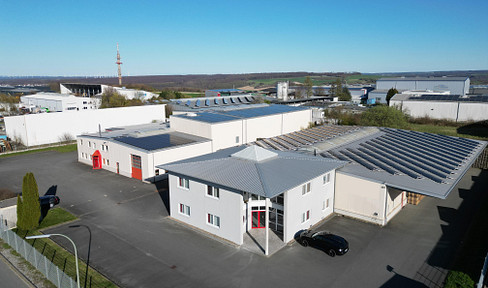 Warehouse/commercial hall/rental hall/hot hall/190-2800m²/hall crane 10t