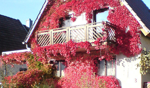 Freistehendes Einfamilienhaus mit großzügiger Nutzfläche in Ortsrandlage