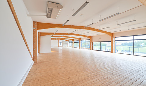 Loft office with roof terrace and great views