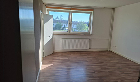 Bright 1-room apartment in Mölln