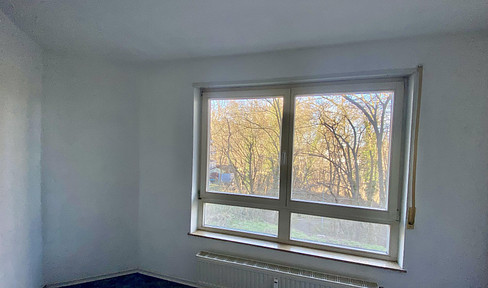 1 room apartment with kitchen and parking space