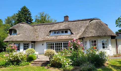 Thatched roof house with large garden