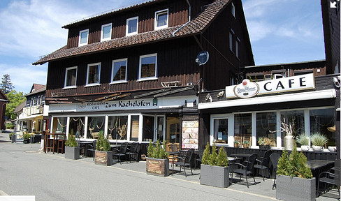 Restaurant / Bar / Cafe / Hostel / Plus Hostel / oder auch Ferienhaus / Freienwohnungen .......?