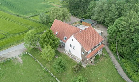 Country house, multi-family house, horse keeping, secluded location