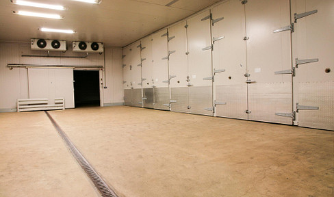 Lagerfläche zu Vermieten  in Bad Bramstedt.
