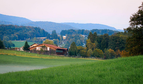 Beautiful small horse farm with indoor riding arena