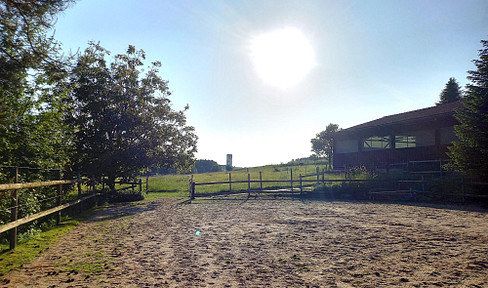 Wunderschöner kleiner Pferdehof mit Reithalle