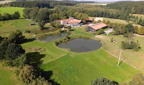 Estate in secluded location with riding facilities