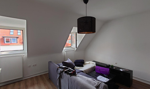 Bright and cozy two-room attic apartment Oststadt / Lister Meile