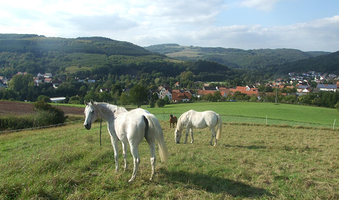 Spacious farmhouse with meadows - horse keeping possible!