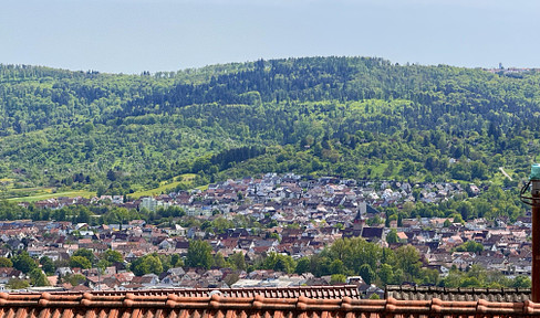 Traumhafte Wohnung mit Aussicht und großer Terrasse, Kernsanierung 2024,