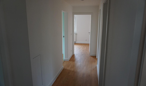 First occupancy after renovation! 4-room apartment for own use or letting