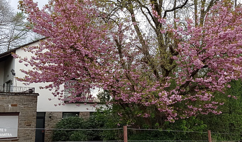 Preissenkung !Naturnahes Einfamilienhaus mit separater Einliegerwohnung