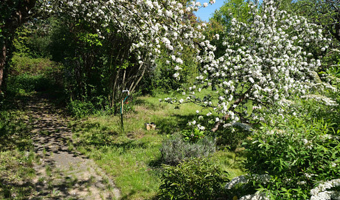 Plot with stone bungalow