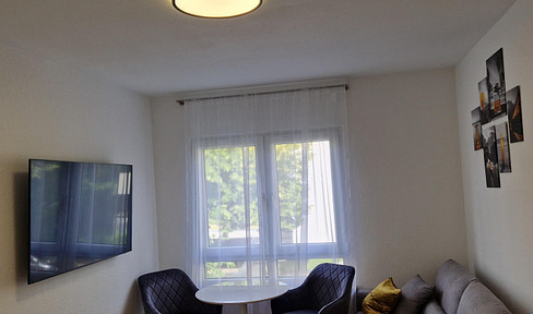 1 room apartment in Karlsruhe - 19.25 sqm ideal for students, trainees and commuters