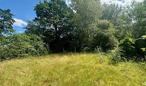 Traumgrundstück am See