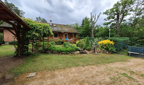 Detached house in Stechlin in Brandenburg, LK Oberhavel, beautiful and rural location on the edge of the forest