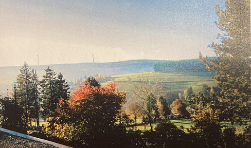Terrassenpark Schonach