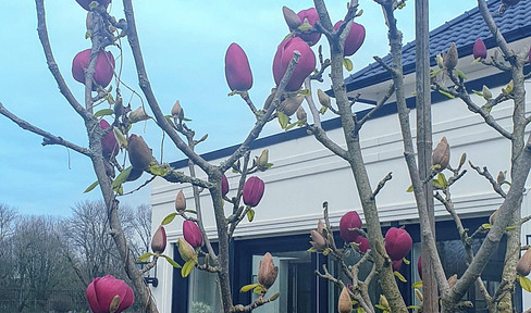 Beautiful city villa in Moers, located in an exclusive and highly desirable area next to the castle park, offering unobstructed views.