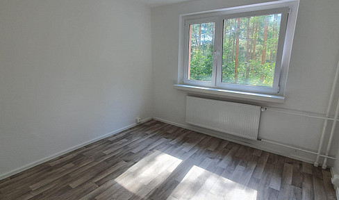 First occupancy after renovation! 3 room apartment with balcony in Walddrehna