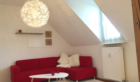Cozy furnished 1.5 ZKB-DG apartment