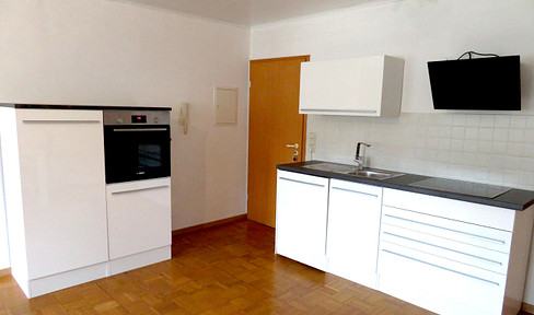 Bright apartment with new brand-name appliances-EBK / partially furnished