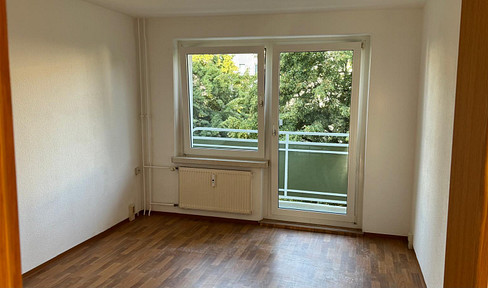 Tolle 3 Zimmer Wohnung mit Balkon, RENOVIERT !, leer, gute Energieklasse, Kapitalanlage/Eigennutzung