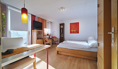 Schönes 1-Zimmerapartment im Zentrum Heidenheims mit Schlossblick