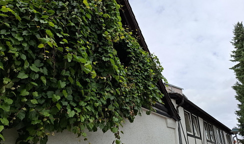 Very large detached house, 11 rooms, small garden, conservatory, whirlpool, sauna, fitness room