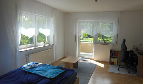 Well-kept 1-room apartment with balcony and EBK in Ilmenau