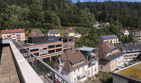 Penthouse apartment with large roof terrace in the best panoramic location in Triberg with large roof terrace