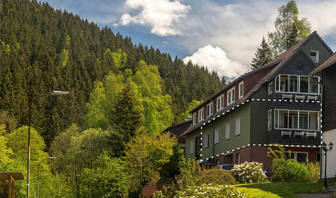 Quiet location: Living on the mountain in Lautenthal, 4-room apartment with balcony and garage