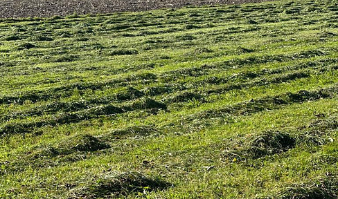 Grundstück in idyllischer Lage direkt am Baugebiet – Eine Investition mit Zukunft