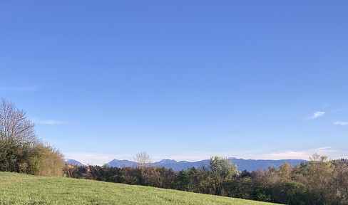 Alpenblick - Wohnung!