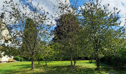 Attractive building plot in Kell am See / Keis Trier - Saarburg