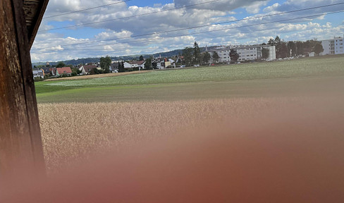 Unverbaubarer Südblick auf Stadt und Sehenswürdigkeiten - Reihenendhaus, zentral, mit Garage