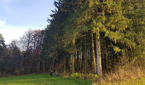 Wald mit kleinem Wiesen und Ackergrundstück