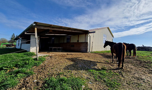 Horse stable, yard, stable building, halls, yard, land, meadows, pastures, business start-up,