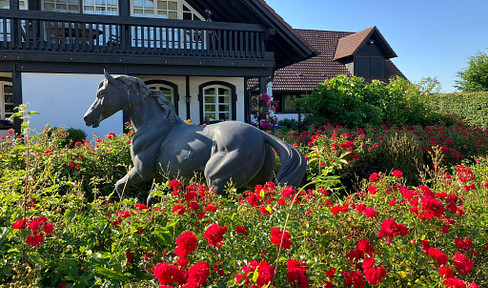 Country house with horses