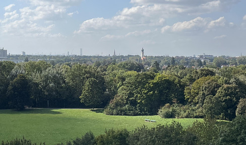 Bezauberndes, frisch renoviertes 1,5 Zi. App. mit grandioser Aussicht